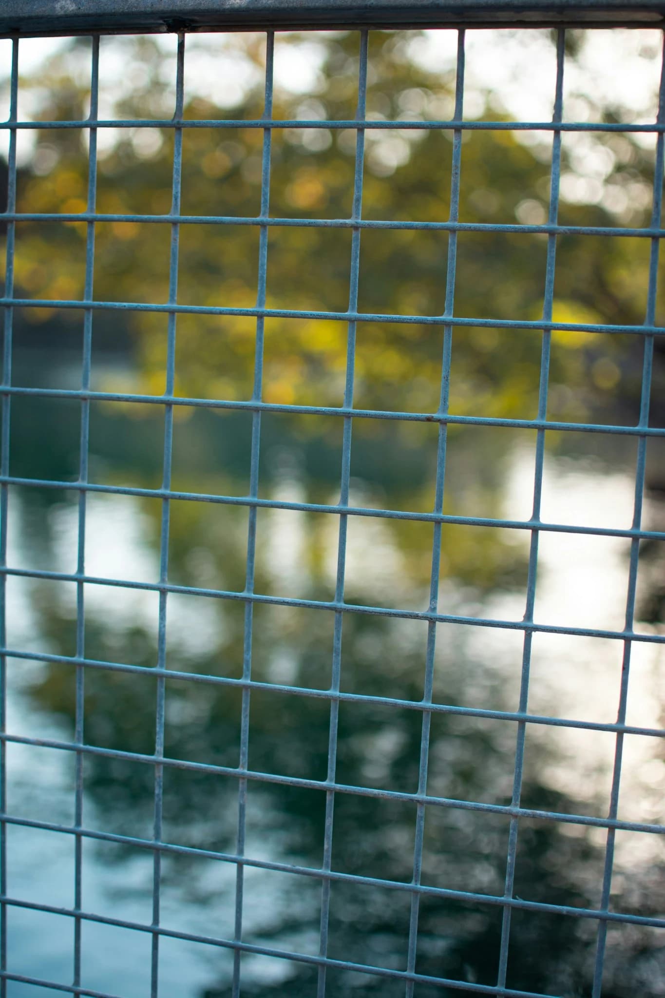 Welded Mesh Panels, product image 1 of 3