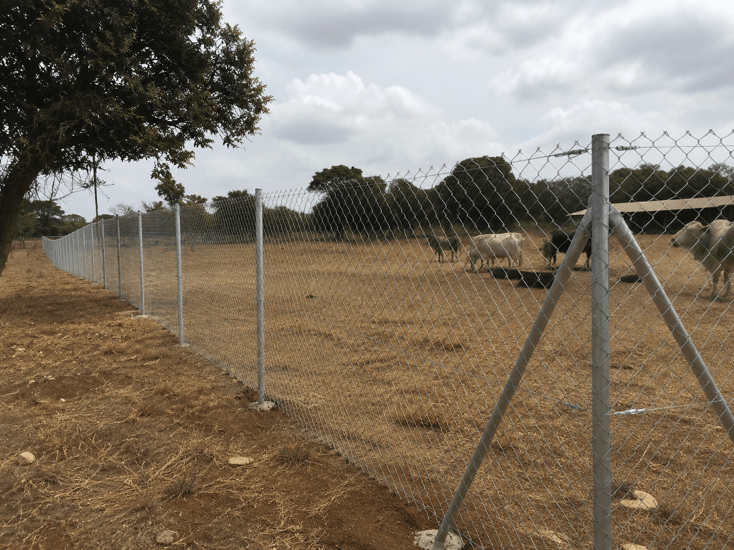 Farm boundary fencing completed by SOK