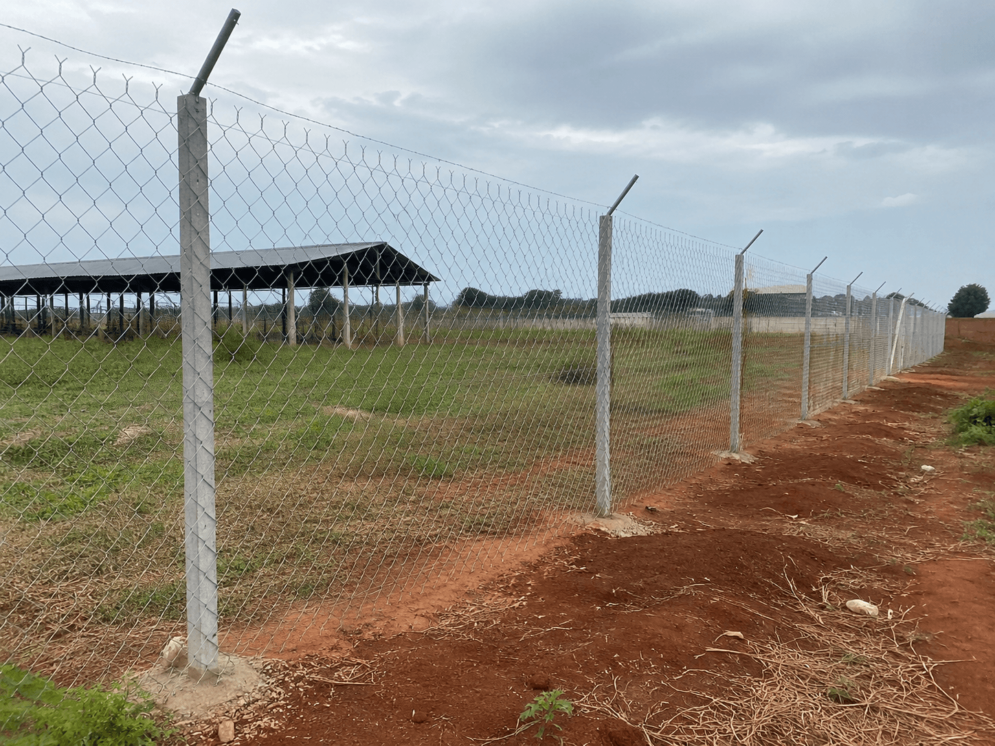 Farm Boundary Chain-Link Fence Installation, project image 2